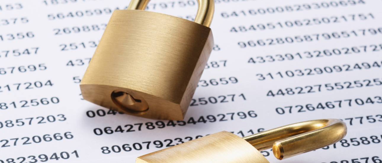 Design sem nome (35)